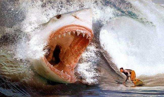 Image of a giant shark about to eat a surfer